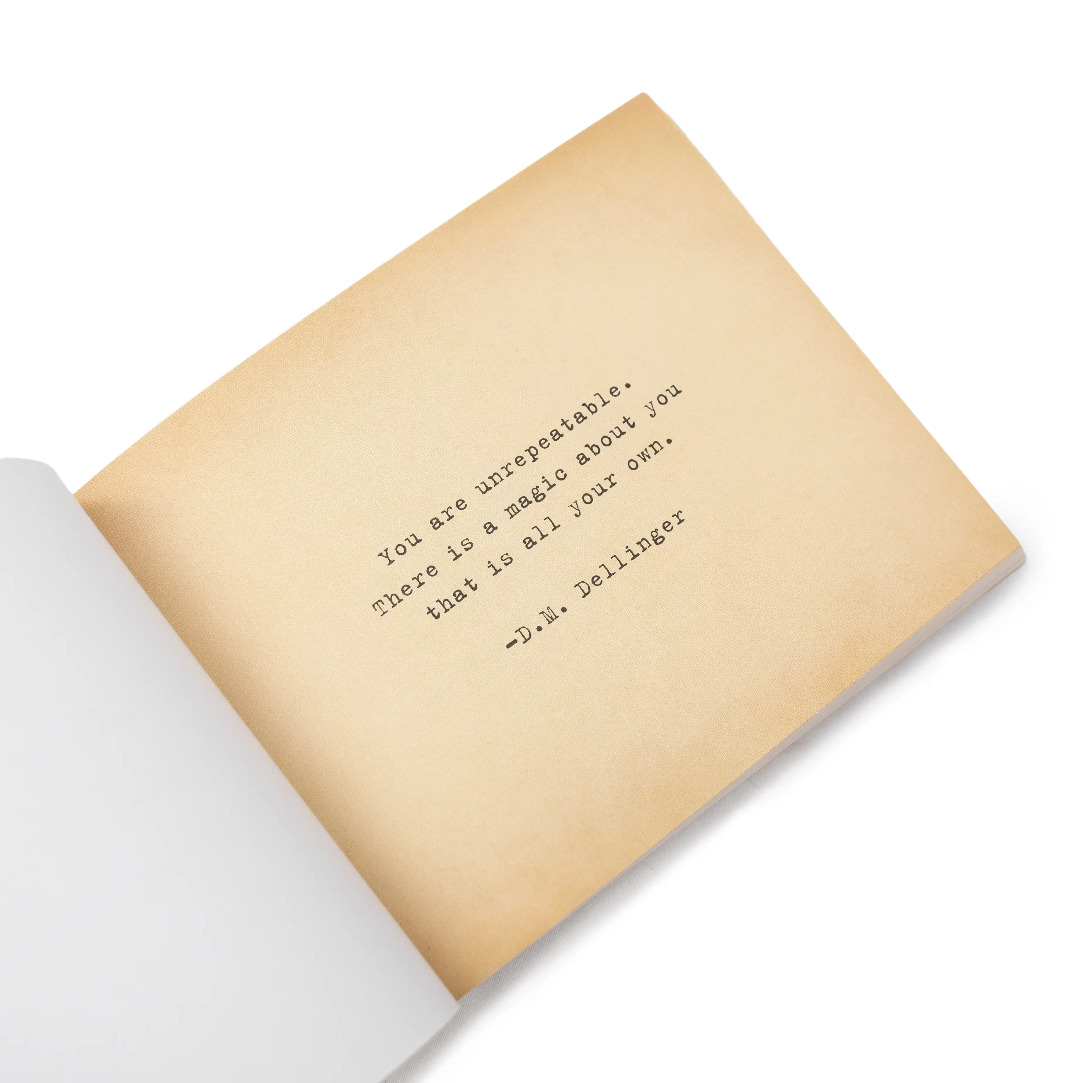 The Little Book Of Love Letters To The World - Image 5
