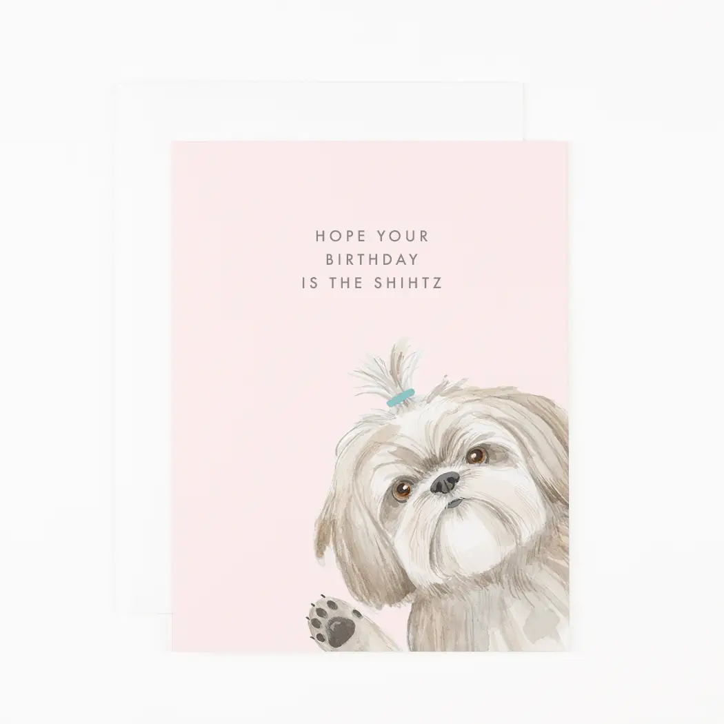 Birthday is the Shihtz