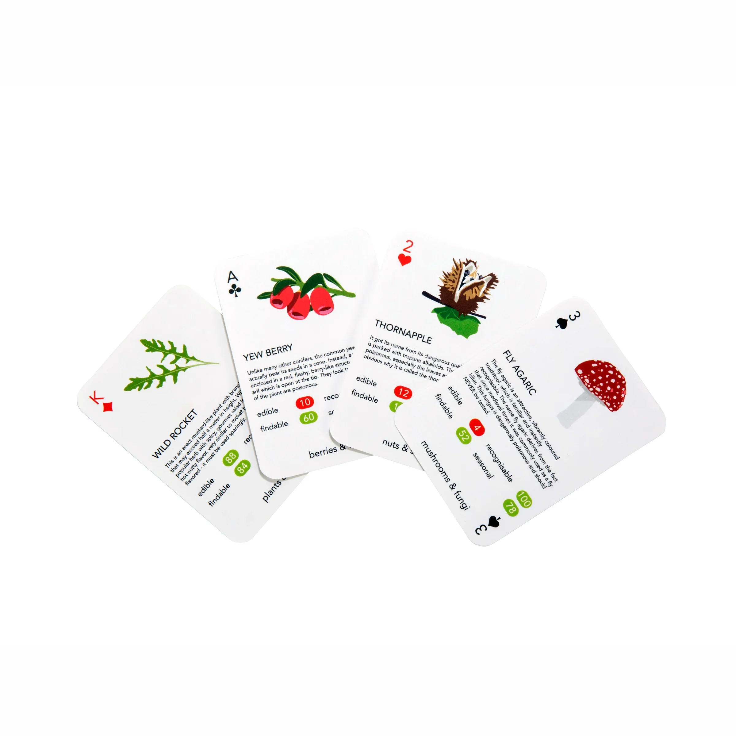 Foragers Playing Cards - Image 3