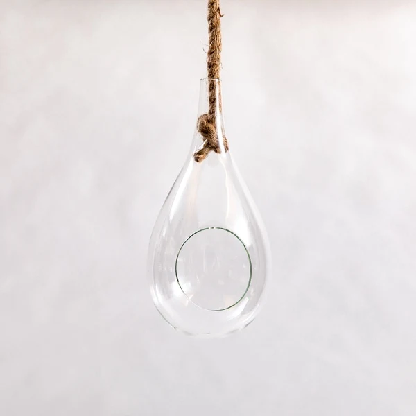 Hanging Terrarium - Image 2