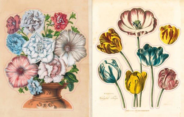 John Derian Sticker Book - Image 2