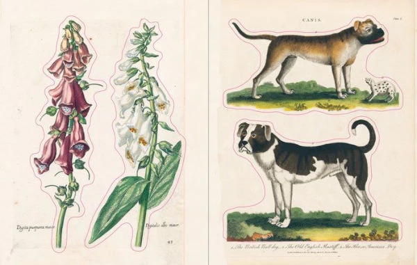 John Derian Sticker Book - Image 3