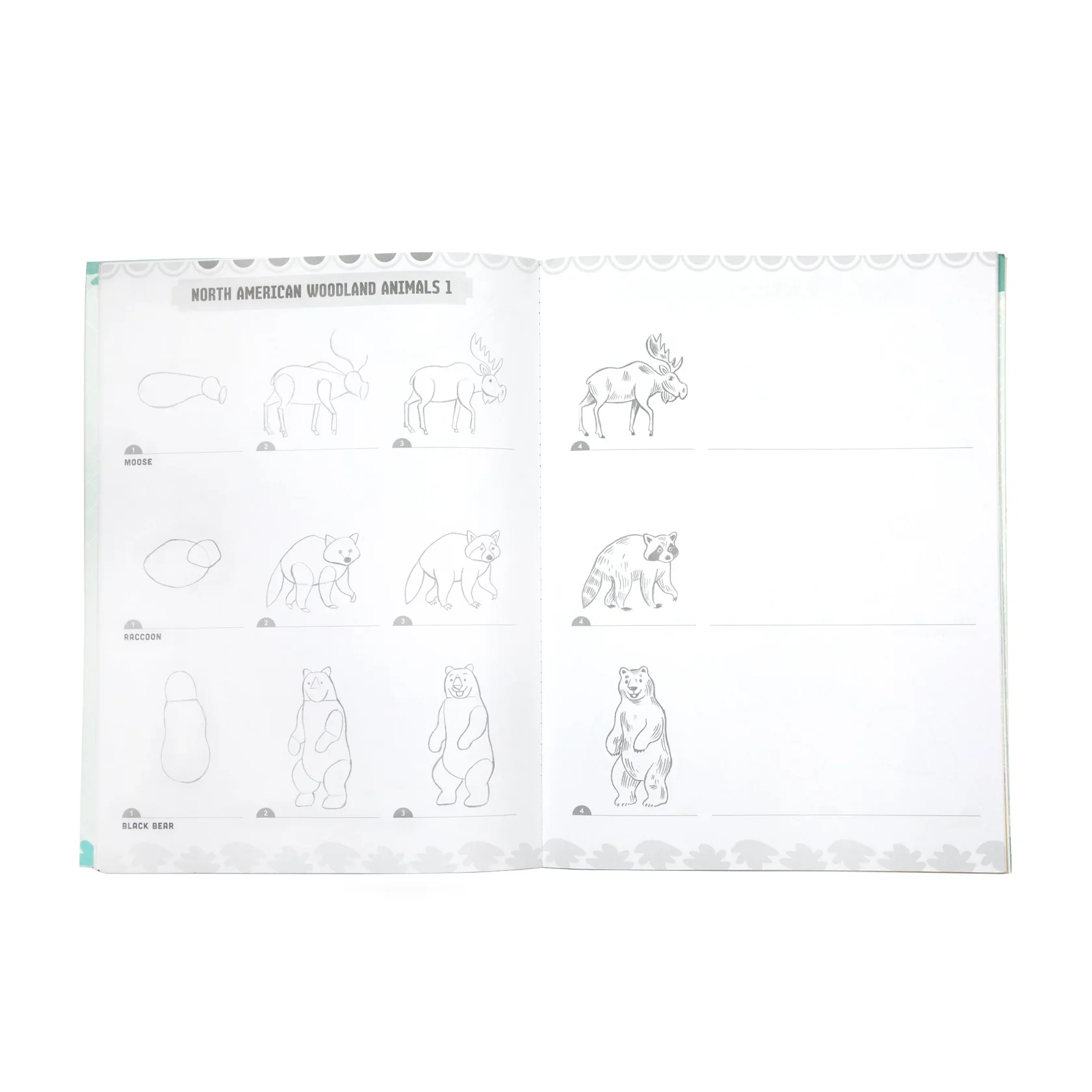Learn to Draw Wild Animals - Image 2