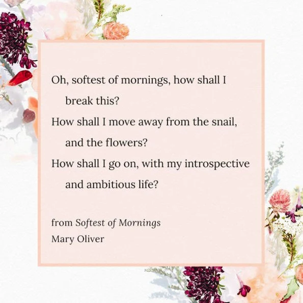 Mary Oliver, Devotions - Image 2