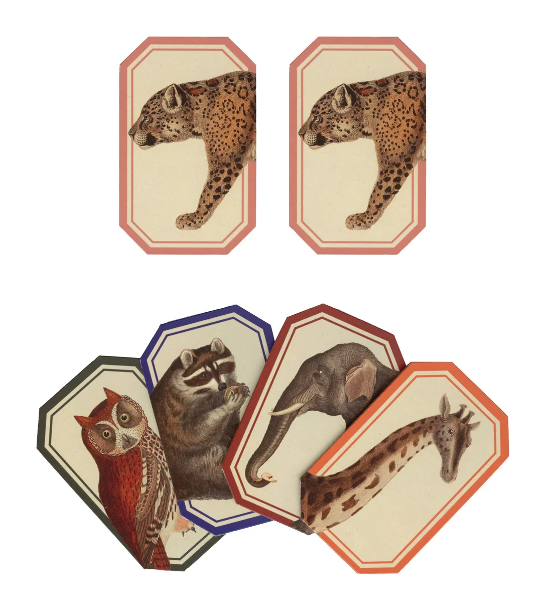 Memory Game, Animal Kingdom - Image 3