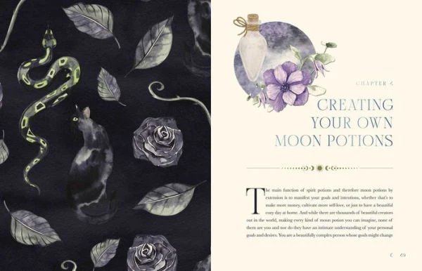 Moon Apothecary - Image 2