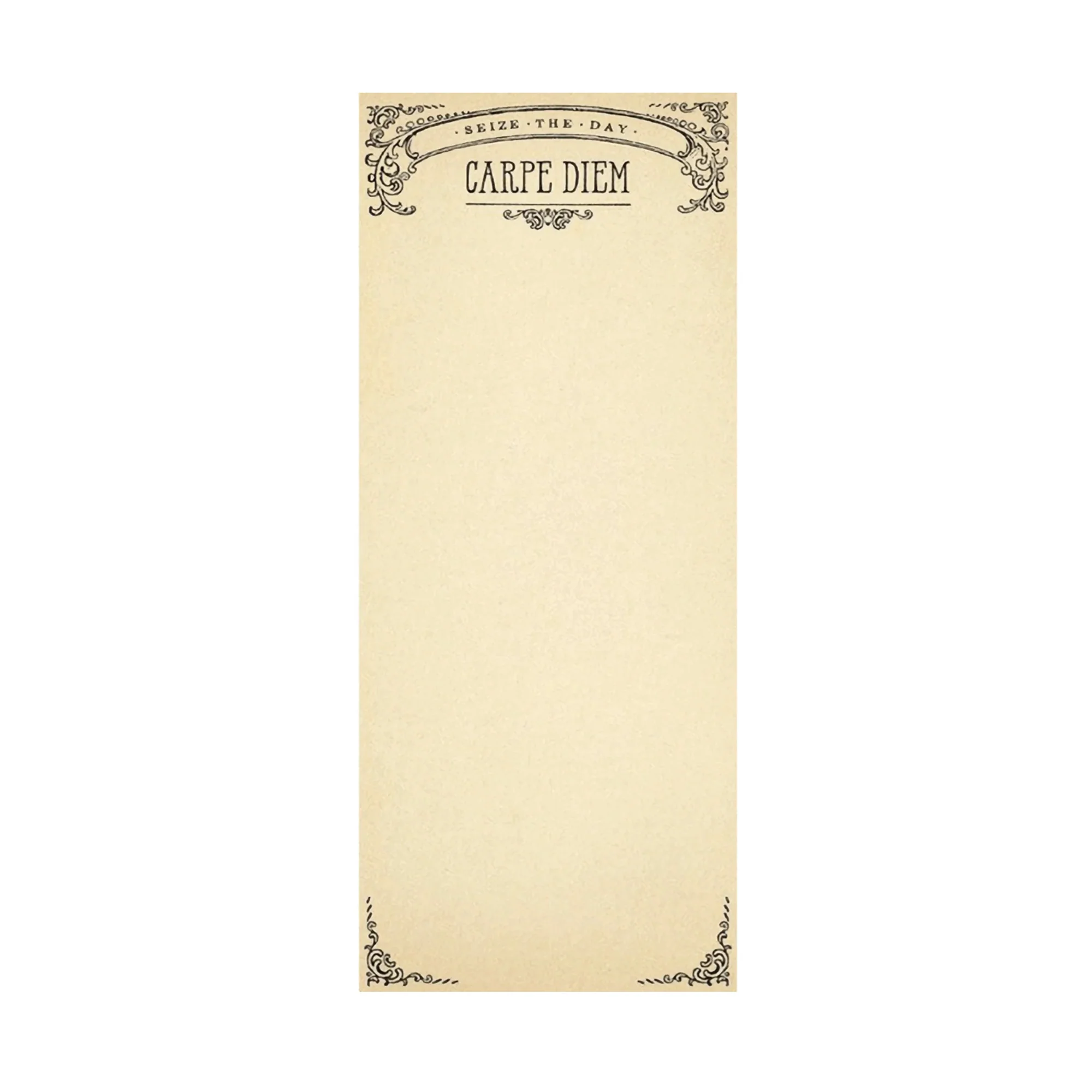 ***Carpe Diem Skinny Notepad