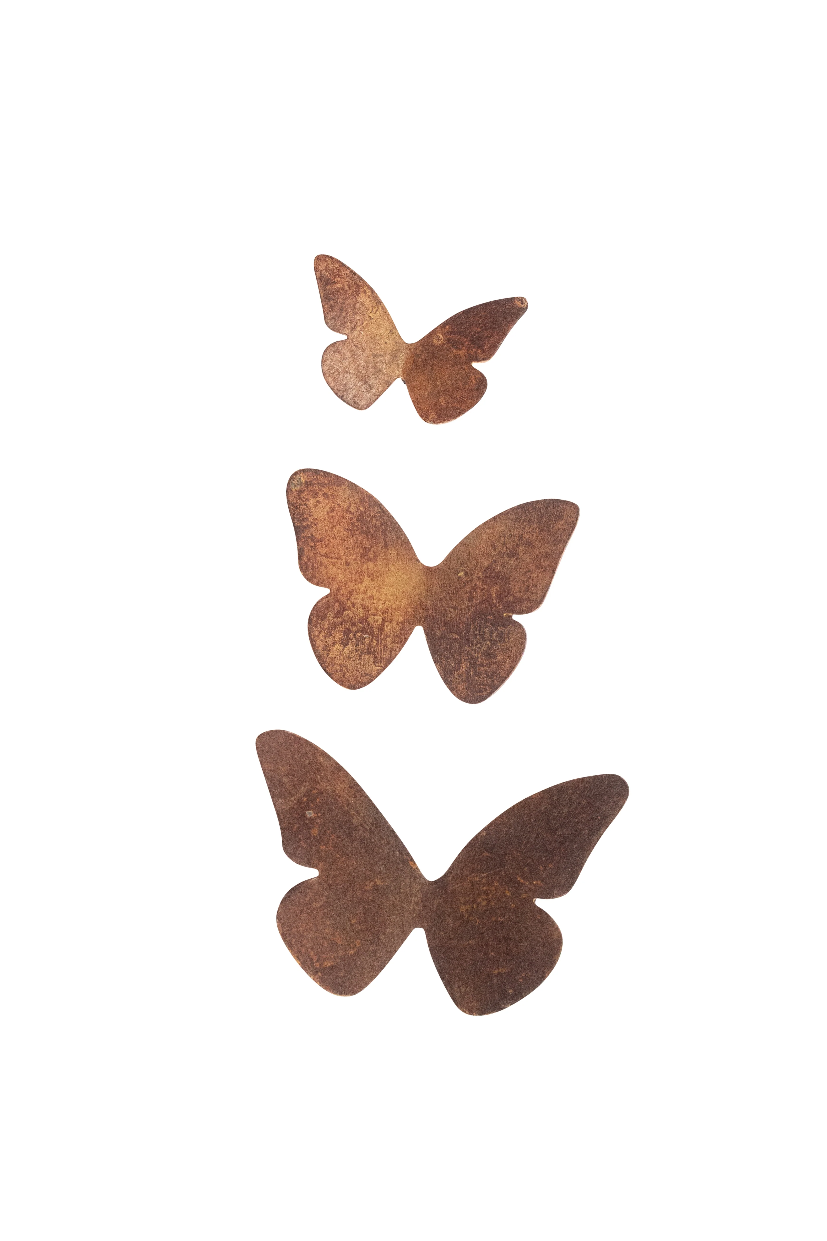 Medium Butterfly Installation - Image 2