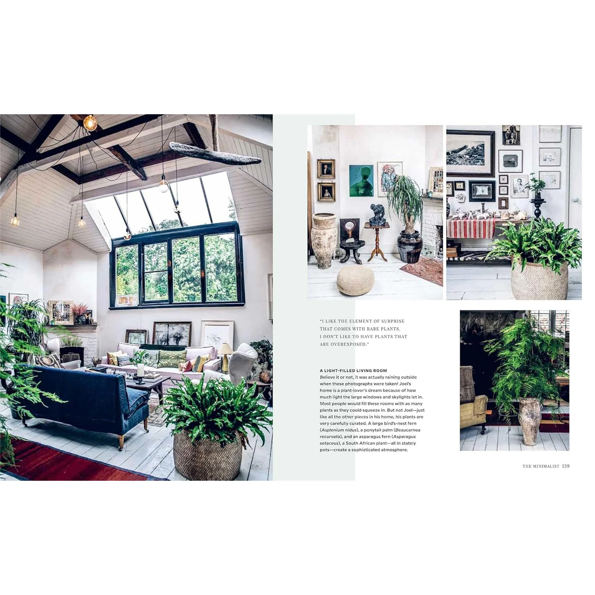 Wild Interiors by Hilton Carter - Image 3